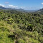 listing image thumbnail with ID 50152