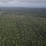 listing image thumbnail with ID 50338