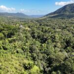 listing image thumbnail with ID 50157