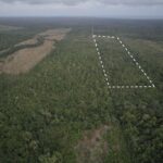 listing image thumbnail with ID 50335