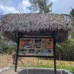 listing image thumbnail with ID 50742