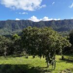 listing image thumbnail with ID 50143