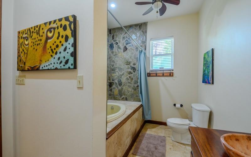listing image with ID 50639