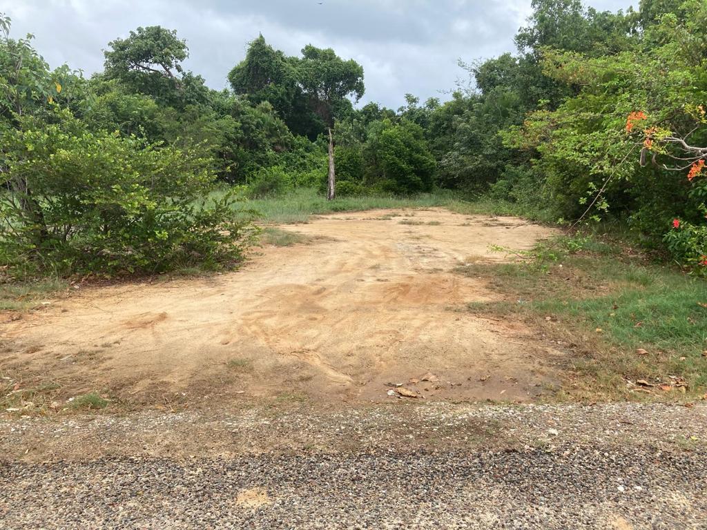 listing image with ID 50790