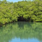 listing image thumbnail with ID 51057