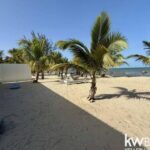 listing image thumbnail with ID 50209