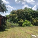 listing image thumbnail with ID 50888