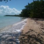 listing image thumbnail with ID 51035