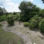 listing image thumbnail with ID 51131