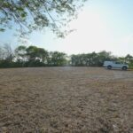 listing image thumbnail with ID 50692