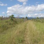 listing image thumbnail with ID 50339