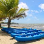 listing image thumbnail with ID 50110