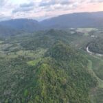 listing image thumbnail with ID 50350