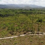 listing image thumbnail with ID 50670