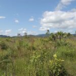 listing image thumbnail with ID 50337