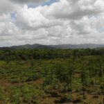 listing image thumbnail with ID 50674