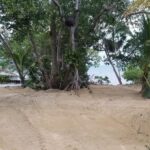 listing image thumbnail with ID 54457