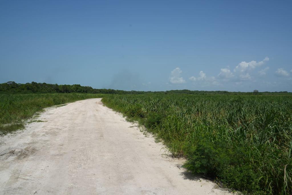 listing image with ID 56448