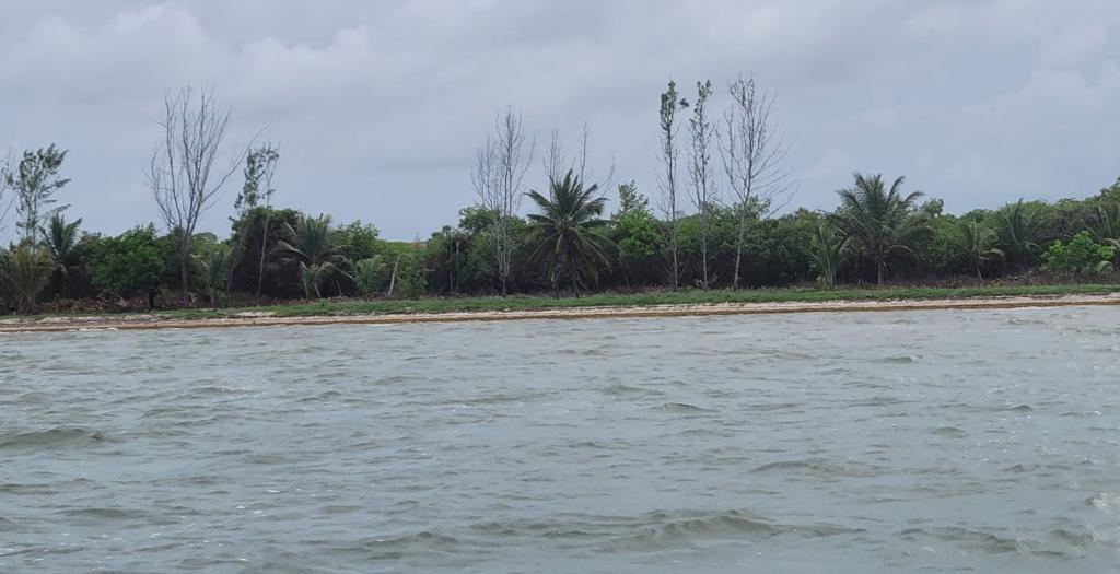listing image with ID 52954
