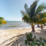 listing image thumbnail with ID 55147