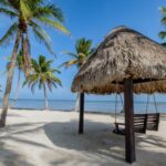 listing image thumbnail with ID 51921