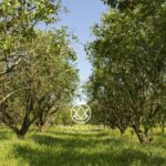 listing image thumbnail with ID 53926