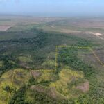 listing image thumbnail with ID 51771