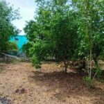 listing image thumbnail with ID 53684