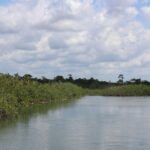 listing image thumbnail with ID 53961