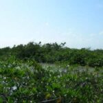 listing image thumbnail with ID 53542