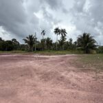 listing image thumbnail with ID 53912