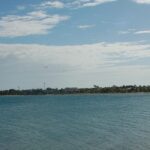 listing image thumbnail with ID 54221