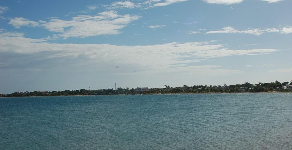 listing image with ID 54221