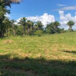 listing image thumbnail with ID 53665