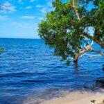 listing image thumbnail with ID 52266