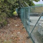 listing image thumbnail with ID 52703