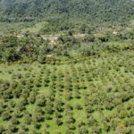 listing image thumbnail with ID 56211