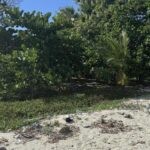 listing image thumbnail with ID 52695