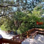 listing image thumbnail with ID 51447