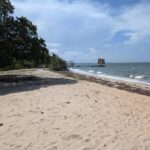 listing image thumbnail with ID 51249