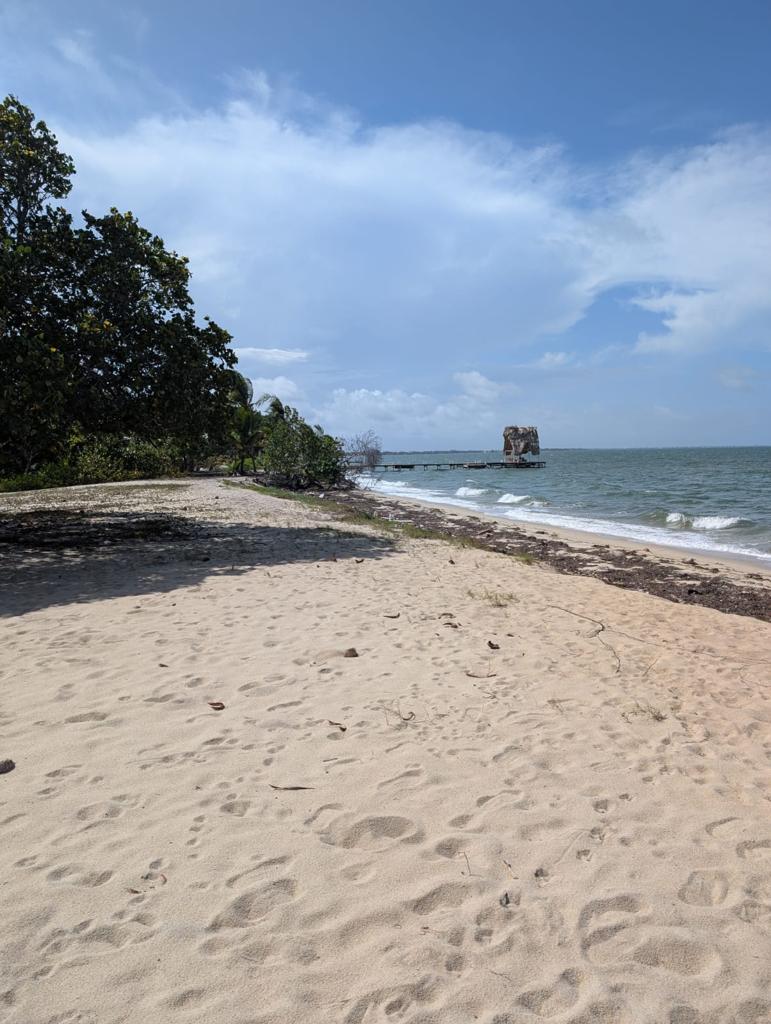 listing image with ID 51249