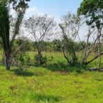 listing image thumbnail with ID 52358