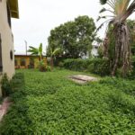 listing image thumbnail with ID 51707