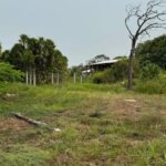 listing image thumbnail with ID 54087