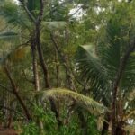 listing image thumbnail with ID 53833