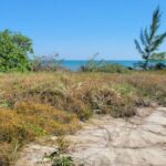 listing image thumbnail with ID 52450