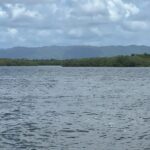 listing image thumbnail with ID 54147