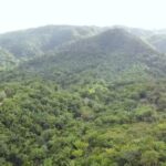 listing image thumbnail with ID 54480