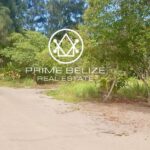 listing image thumbnail with ID 52481