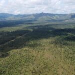 listing image thumbnail with ID 52300